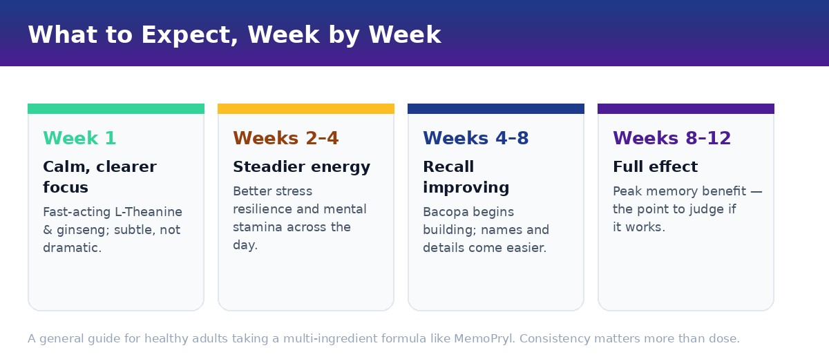 Week-by-week timeline graphic for brain supplements: week 1 calm focus, weeks 2-4 steadier energy, weeks 4-8 recall improving, weeks 8-12 full effect