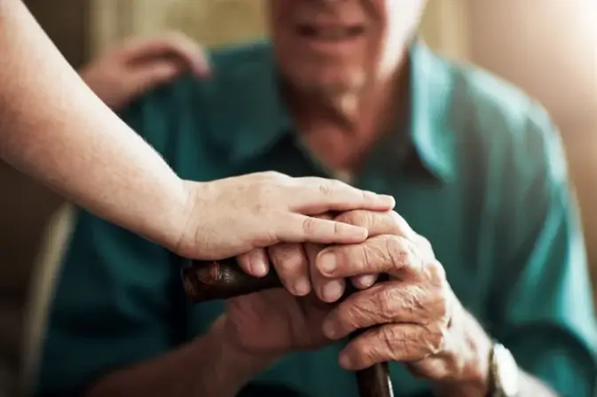 High-dose DHA brain study research