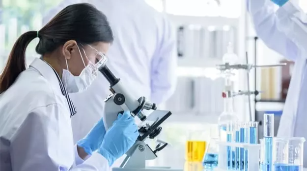 Scientific research supporting MemoPryl formula