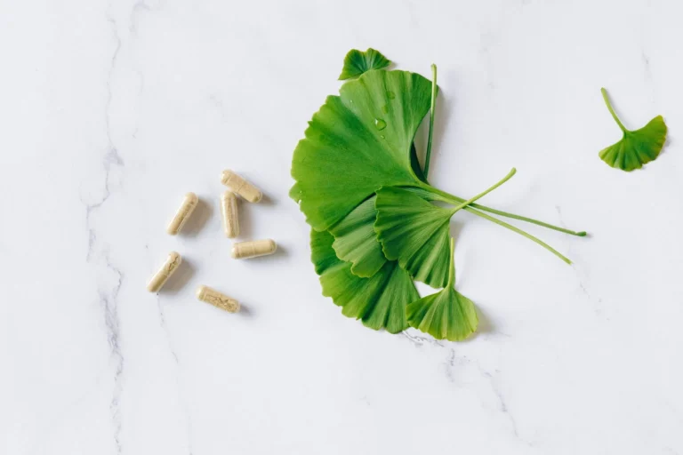 How Ginkgo Biloba and Other Brain Herbs Improve Cognitive Performance
